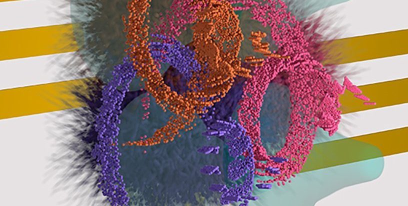 Fizičari otkrivaju znakove neuhvatljivog oblika magnetizma predviđenog prije 50 godina 