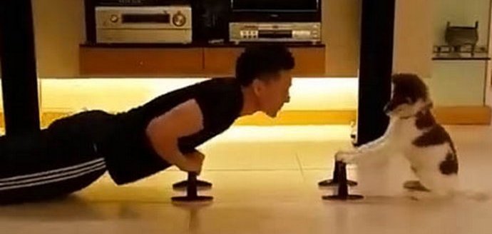 Tjelesni odgoj za par sa štenad