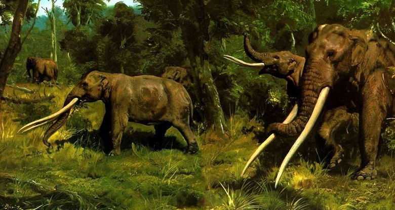 Francuski farmer pronašao je lubanju polu-mitske životinje i sakrio je 4 godine.