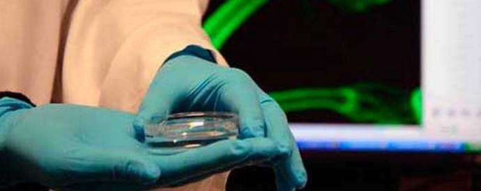 Gen za mlade može produžiti život čoveka za jedan i pol puta.