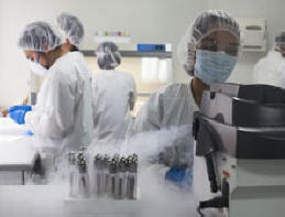 Genetika je saznala kada je mešanje naroda koji nastanjuju Zemlju