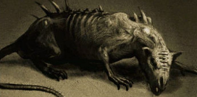 Džinovski, pametni i neustrašivi pacovi