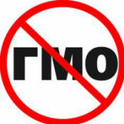 GMO: tri milijarde ljudi može umrijeti!