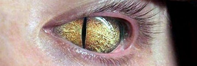 Plava krv gmizavaca. Kako je Obama povezan sa gmazovima.