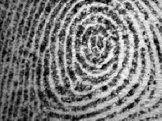 Google i CIA sponzoriraju prelaznike