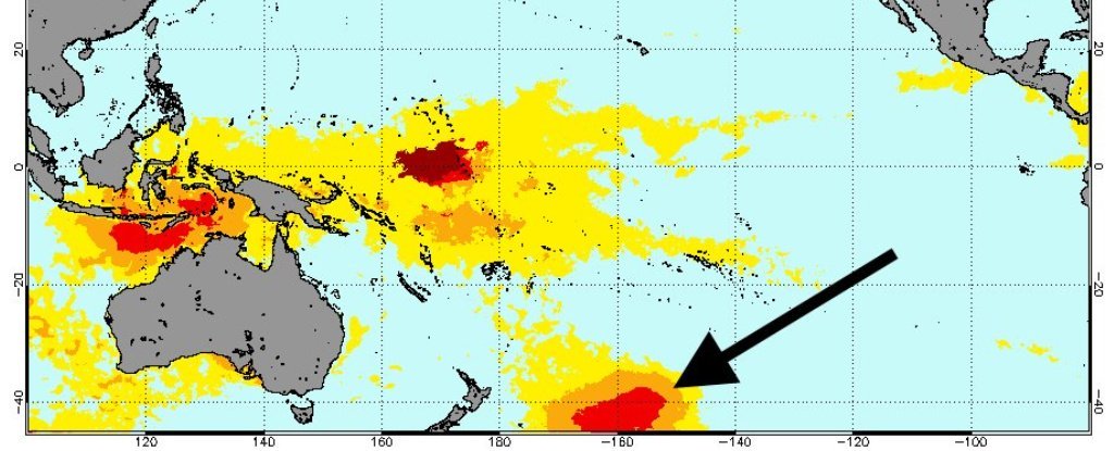'Vrući balon' u Tihom okeanu ubio je milion morskih ptica u jednoj godini 