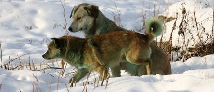 Grmljavina neće udariti ...