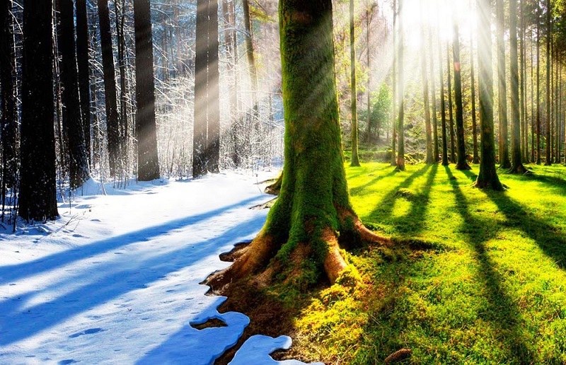 Hladna sezona u Rusiji opada, poručili su prognostičari