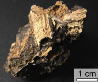 Impactit je biološke podatke čuvao milijarde godina.