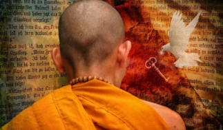 Korisnici interneta moći će koristiti bazu podataka tibetanske medicine