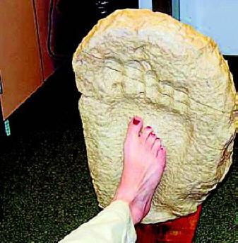 Okamenjeni otisak divovskog otiska sa obale rijeke Palexi (Teksas, SAD)