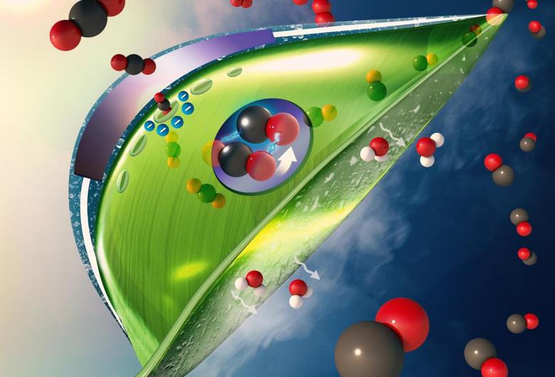 Umjetni listovi mogu apsorbirati CO2 mnogostruko efikasnije od stvarnih
