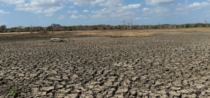 Istraživanja pokazuju da bi dijelovi Sjeverne Amerike mogli postati pustinja 