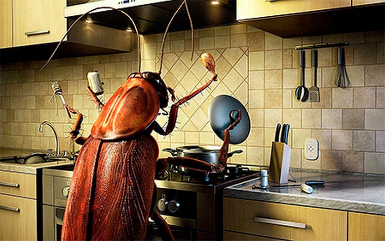 Oslobađanje žohara je jednostavno i jednostavno.