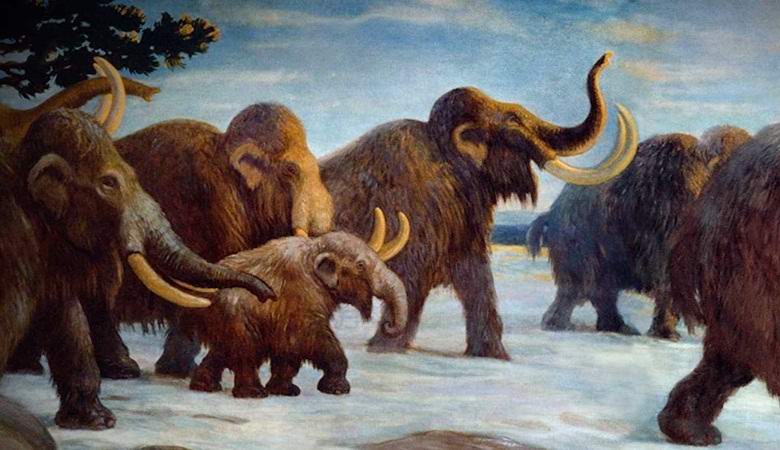 Kako se rađaju laži, ili zagonetka snimke u Sibiru