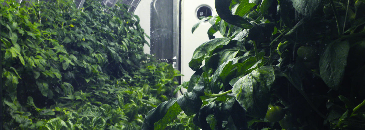 Kakva će biti svemirska hrana: NASA nastavlja eksperimentirati 