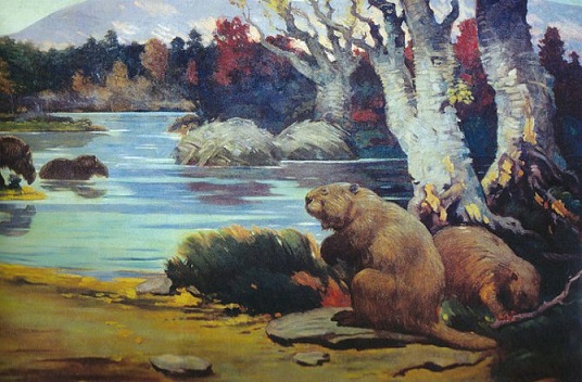 Kako bi zemlja mogla biti bez ljudi?