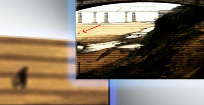 Nadzorna kamera uhvatila još jednog duhovitog duha