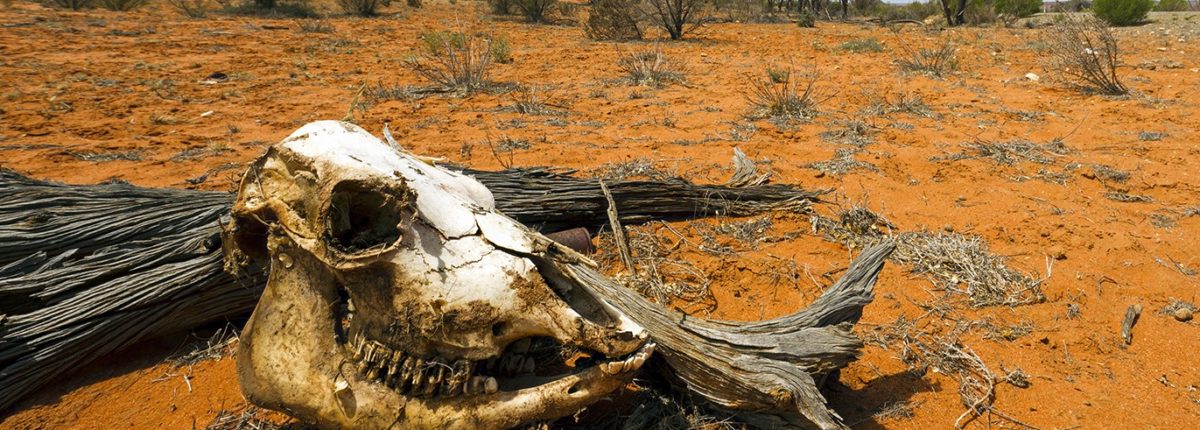 Kanadski naučnici: čovječanstvo će izumrijeti za 700 godina 