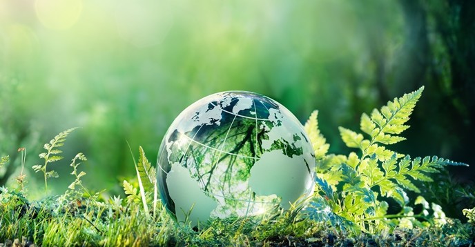 Katastrofalne promjene u biosferi Zemlje koje su otkrili naučnici