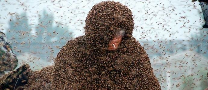 Kinezi su se dobrovoljno zaglavili sa milion živih pčela