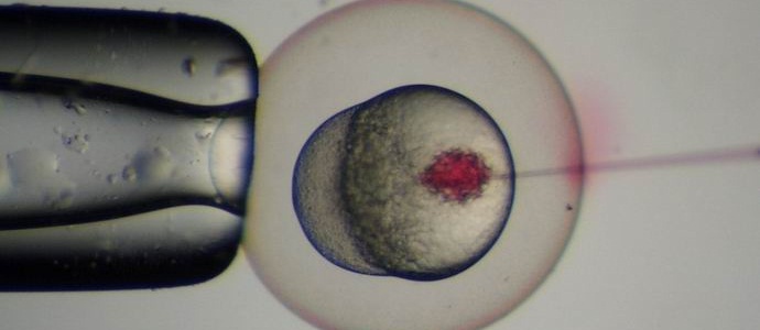 Kinezi su izveli prvu genetsku korekciju ljudskog embriona