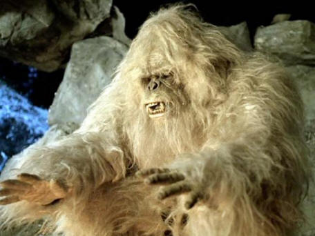 Kineski Yeti