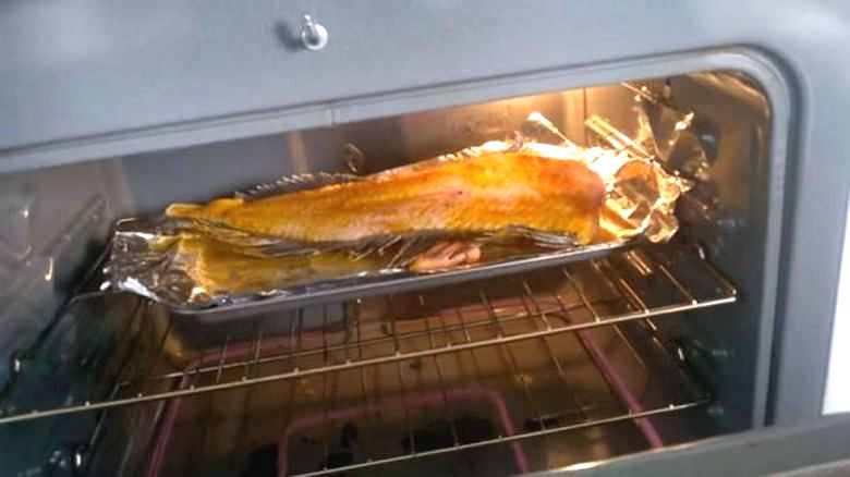Kad riba zaživi u potpuno neprirodnoj situaciji