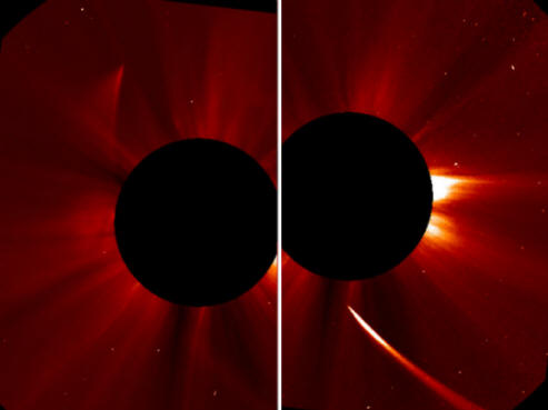 ISON Comet Phoenix preporođen iz pepela