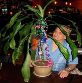 Cleve Baxter eksperimentiše sa biljkom draceena. Foto: Cleve backster .