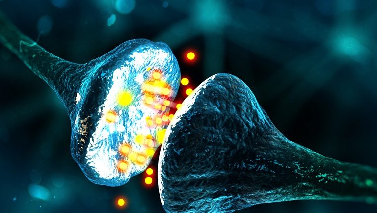 Računarske čipove ovog pokretača pokreću ljudski neuroni. 