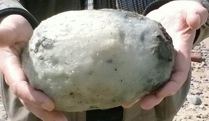 Komad sive ambergrisa učinio bogat britanski par