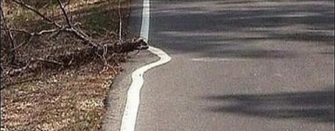 Da li je lenjost motor napretka?