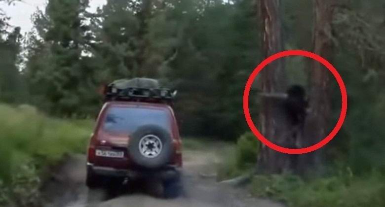 Lesha snimljena na video snimku u Rusiji