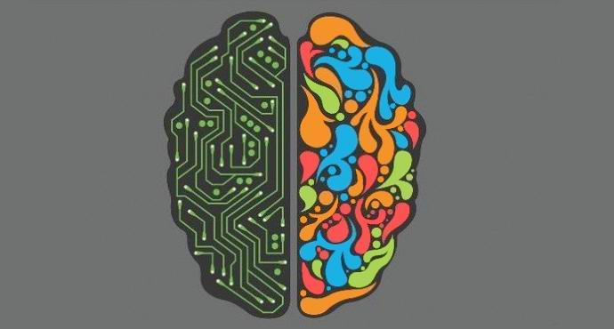 Lijeva i desna hemisfera ljudskog mozga nisu podijeljene na emocionalne i logičke