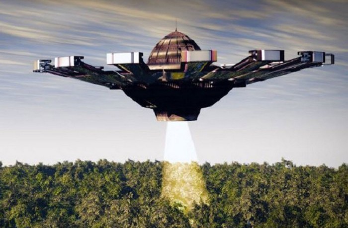 Zraka svjetlosti prati divlje životinje