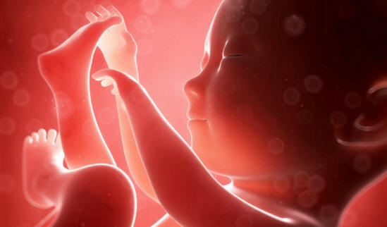 Ljudi sa sećanjima pre rođenja