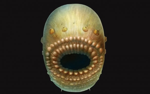 Jesu li ljudi došli iz ovoga?  - otkriveno biće je zadivilo naučnike 