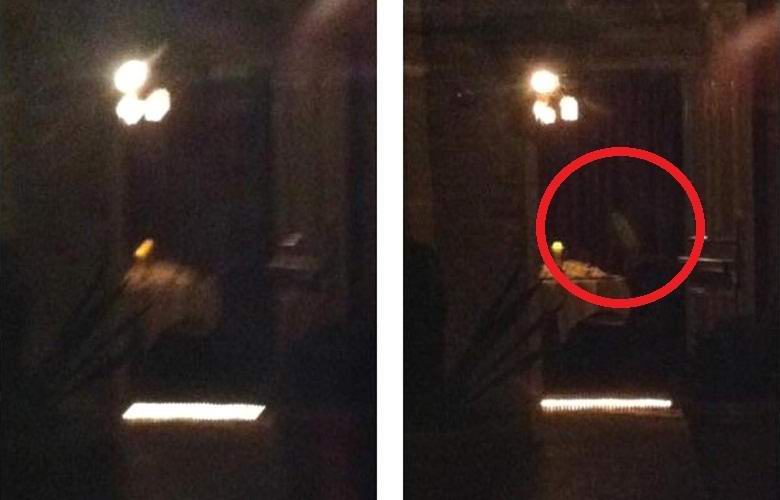 Mali duh fotografiran u New Orleansu