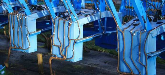 Namještaj se može napraviti, ali možete - rasti