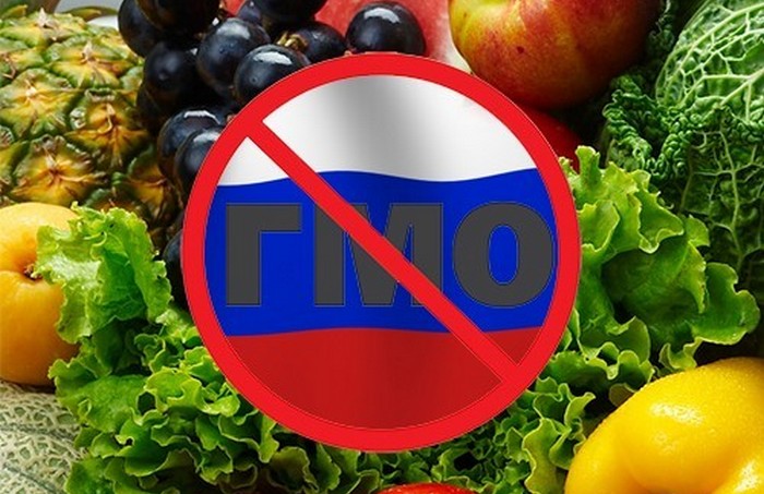 Запретили гмо. ГМО В России. Запрет ГМО. Генномодифицированные продукты в России. ГМО продукты.