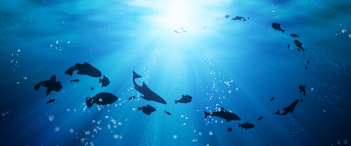 Okeani se mijenjaju, mijenjaju život na cijeloj planeti.