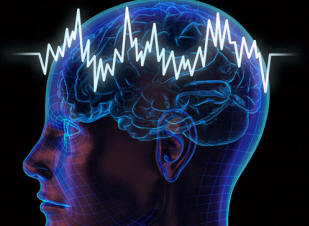 Mozak i svemir su braća blizanci?