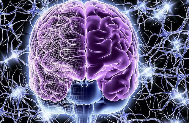 Može li čovjek razmišljati bez mozga?