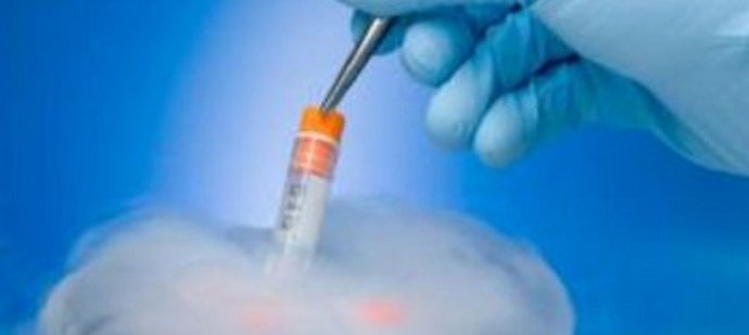 Je li moguće umjetno stvoriti savršenu generaciju?