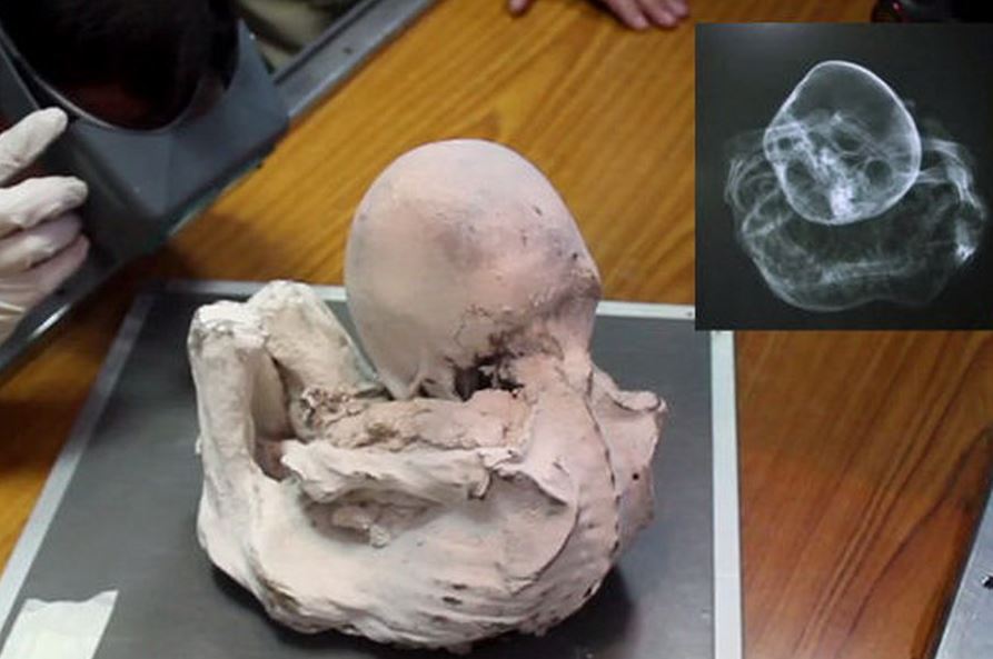 Mamije iz Nazce: što je pokazalo peto istraživanje