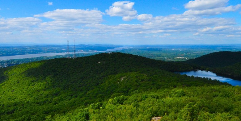 Čovek želi da shvati kakva je životinja planula u šumi zbog jelena