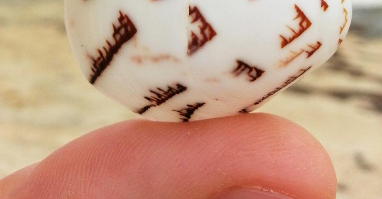 Čovek je našao kamen sa