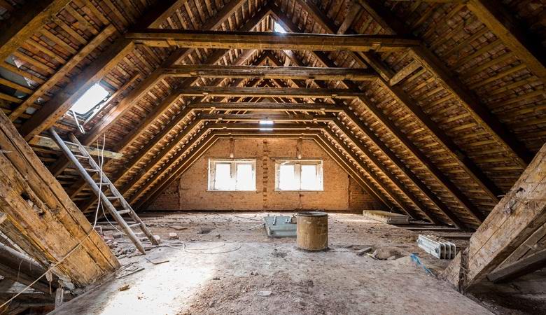 Na tavanu Amerikanke potajno je živio gost, koga je pogrešno prihvatila za duha