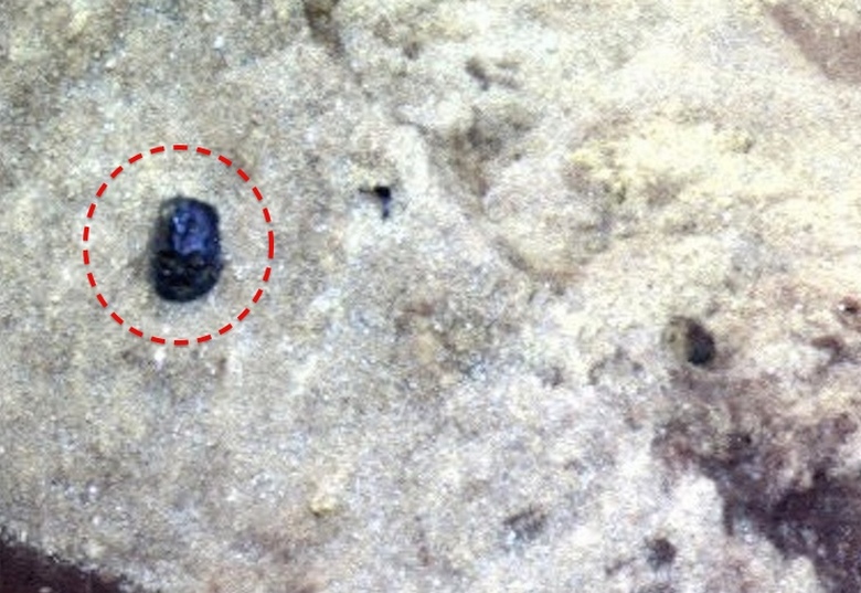 Na slikama sa Marsa pronađen